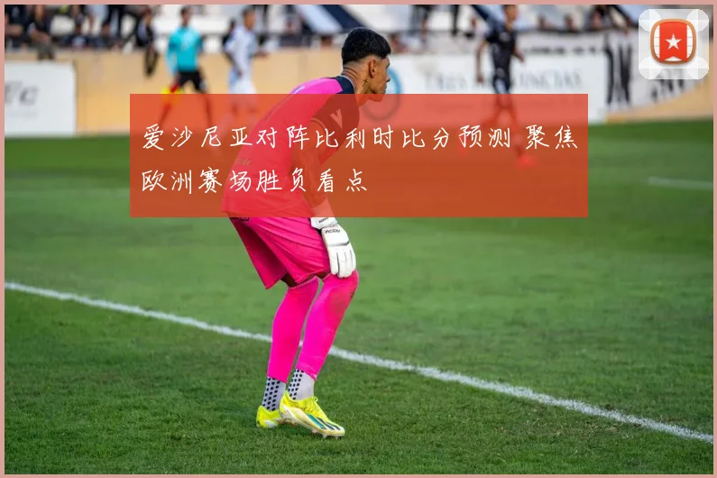 爱沙尼亚对阵比利时比分预测 聚焦欧洲赛场胜负看点