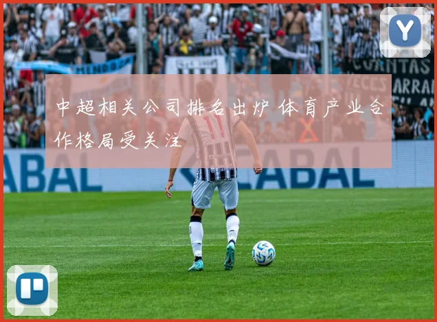 中超相关公司排名出炉 体育产业合作格局受关注